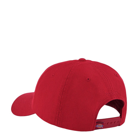 Dickies Hardwick Baseball Şapka