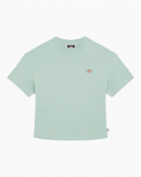 Dickies Oakport Kadın T-Shirt Iceberg Green