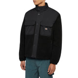 Dickies Pinesdale Erkek Ceket Black