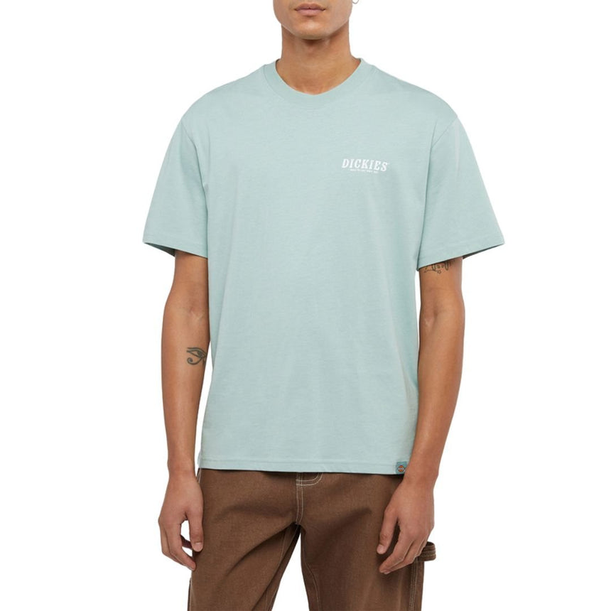 Dickies Script Erkek Kısa Kollu T-Shirt Blue Surf