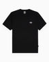 Dickies Summerdale Erkek T-Shirt Black