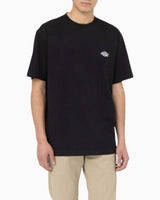 Dickies Summerdale Erkek T-Shirt