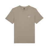 Dickies Summerdale Erkek T-Shirt 