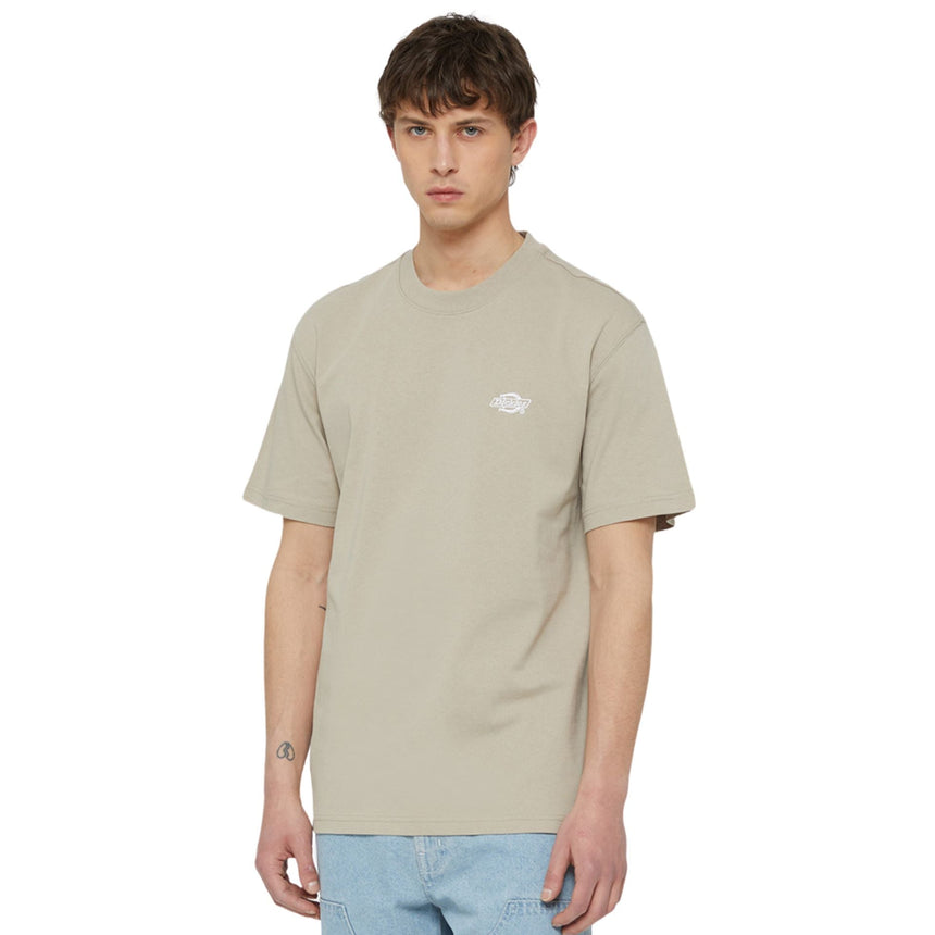 Dickies Summerdale Erkek T-Shirt 