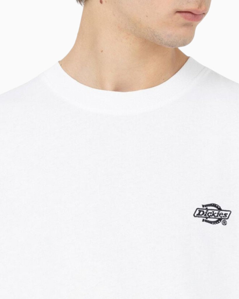 Dickies Summerdale Erkek T-Shirt