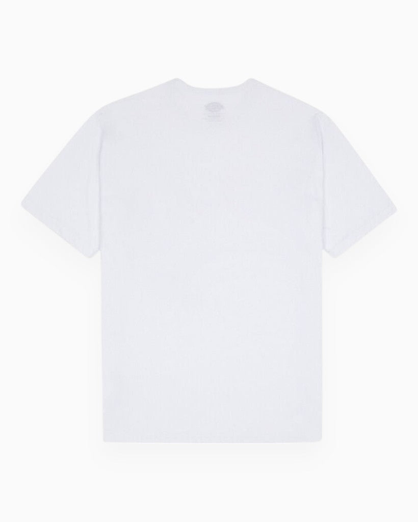 Dickies Summerdale Erkek T-Shirt