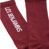 Les Benjamins Socks