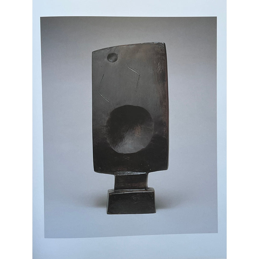 Pestil Books for Vitruta - A Century of Sculpture: The Nasher Collection - vitruta