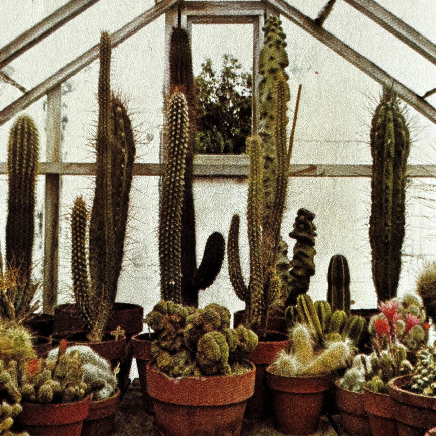 Pestil Books for vitruta Cactus and Succulents