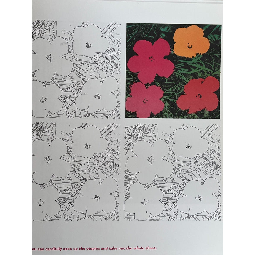 Pestil Books for Vitruta - Coloring Book Andy Warhol - vitruta