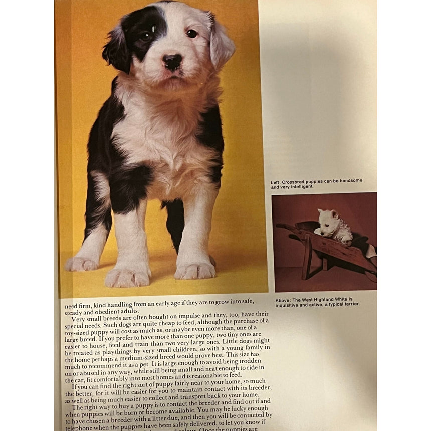 Pestil Books for vitruta Everyone's Book of Puppies 