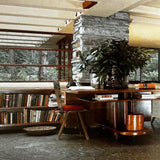 Pestil Books for vitruta Fallingwater: Frank Lloyd Wright's Romance with Nature 