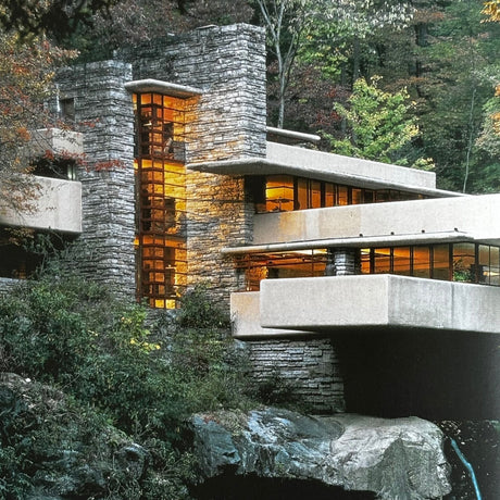 Pestil Books for vitruta Fallingwater: Frank Lloyd Wright's Romance with Nature 