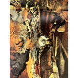 Pestil Books for Vitruta - Sanctuaries of the Goddess: The Sacred Landscapes and Objects - vitruta