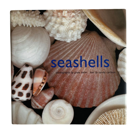 Pestil Books for Vitruta - Seashells - vitruta