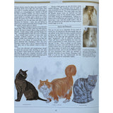 Pestil Books for Vitruta - The Complete Book Of The Cat - vitruta