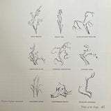Pestil Books for Vitruta - The Easy Magic of Japanese Flower Arrangement - vitruta