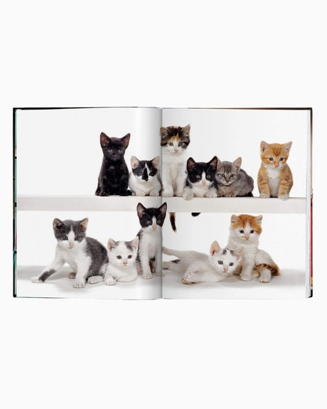 vitruta Book Selection Walter Chandoha. Cats. Photographs 1942-2018