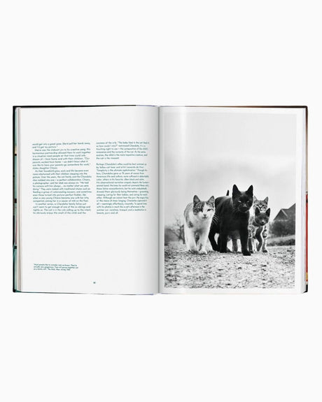 vitruta Book Selection Walter Chandoha. Cats. Photographs 1942-2018