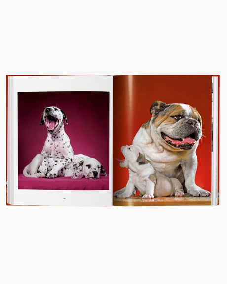 vitruta Book Selection Walter Chandoha. Dogs. Photographs 1941–1991