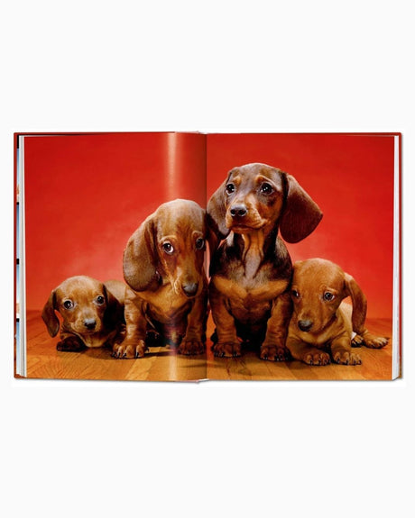 vitruta Book Selection Walter Chandoha. Dogs. Photographs 1941–1991