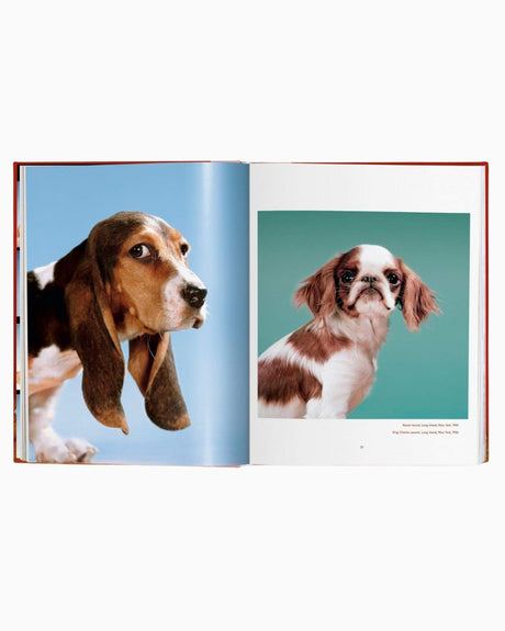 vitruta Book Selection Walter Chandoha. Dogs. Photographs 1941–1991