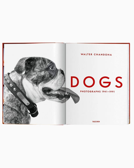 vitruta Book Selection Walter Chandoha. Dogs. Photographs 1941–1991