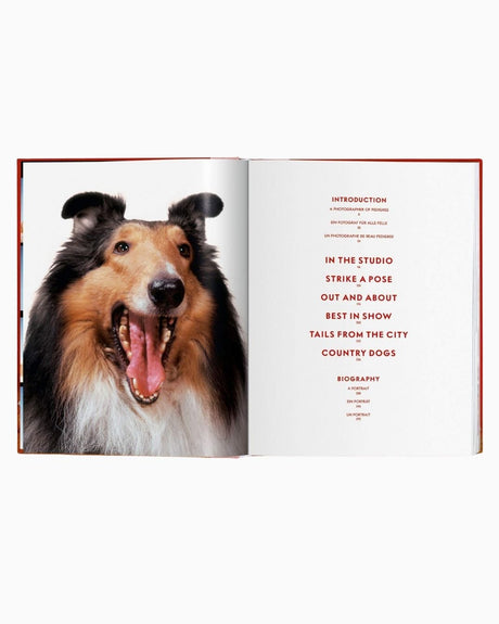 vitruta Book Selection Walter Chandoha. Dogs. Photographs 1941–1991