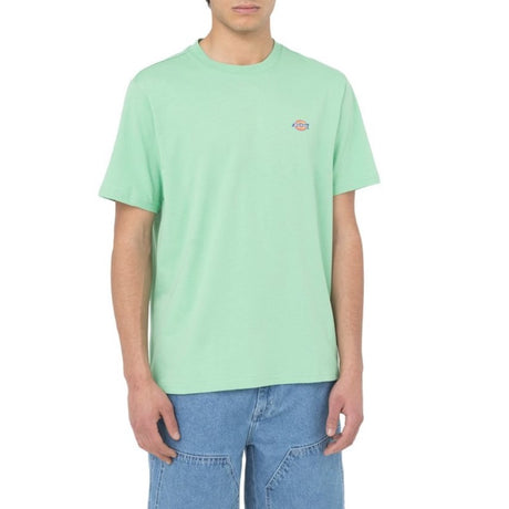 Dickies - SS Mapleton T-Shirt - Erkek - Vitruta