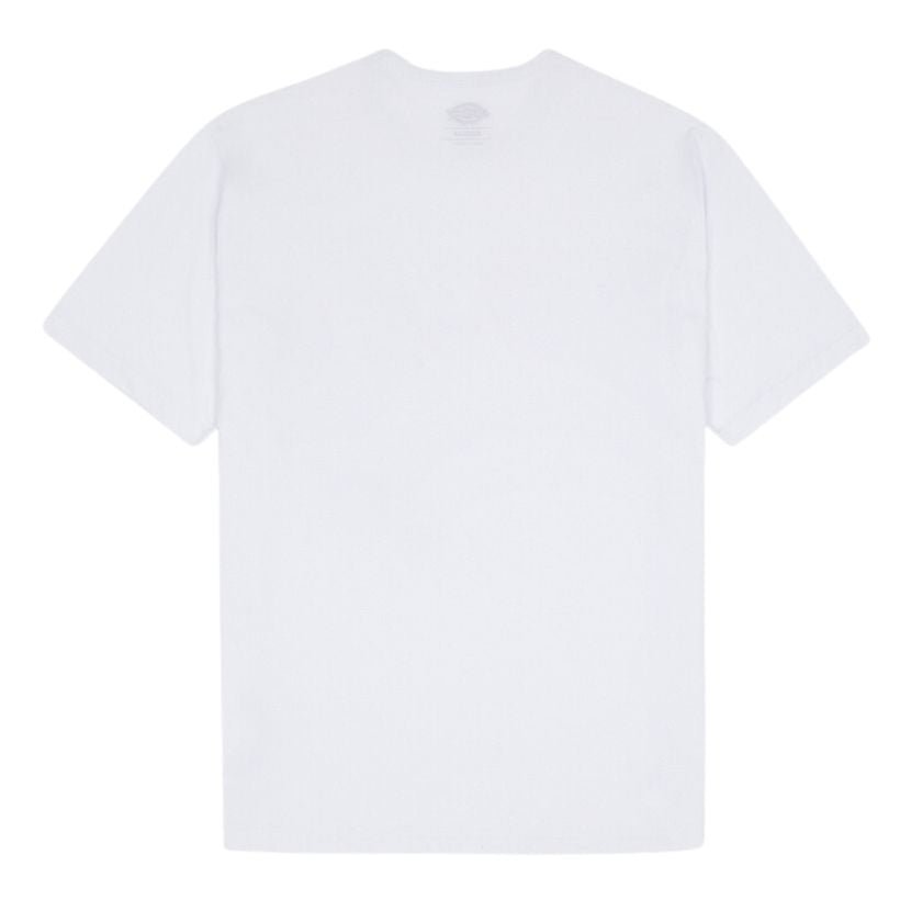 Dickies - Summerdale Erkek T-Shirt - vitruta