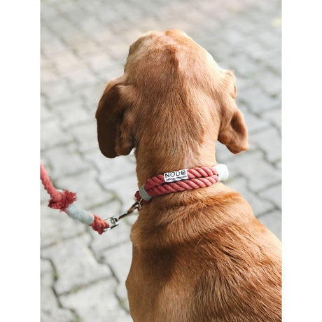 Nodo İstanbul - Köpek Boyun Tasması Scarlet Sage - Vitruta
