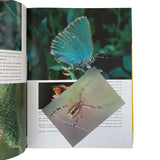 Pestil Books for Vitruta - Das große Buch de Insekten - vitruta