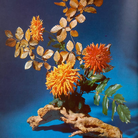 Pestil Books for Vitruta - Flower Arranging - Vitruta