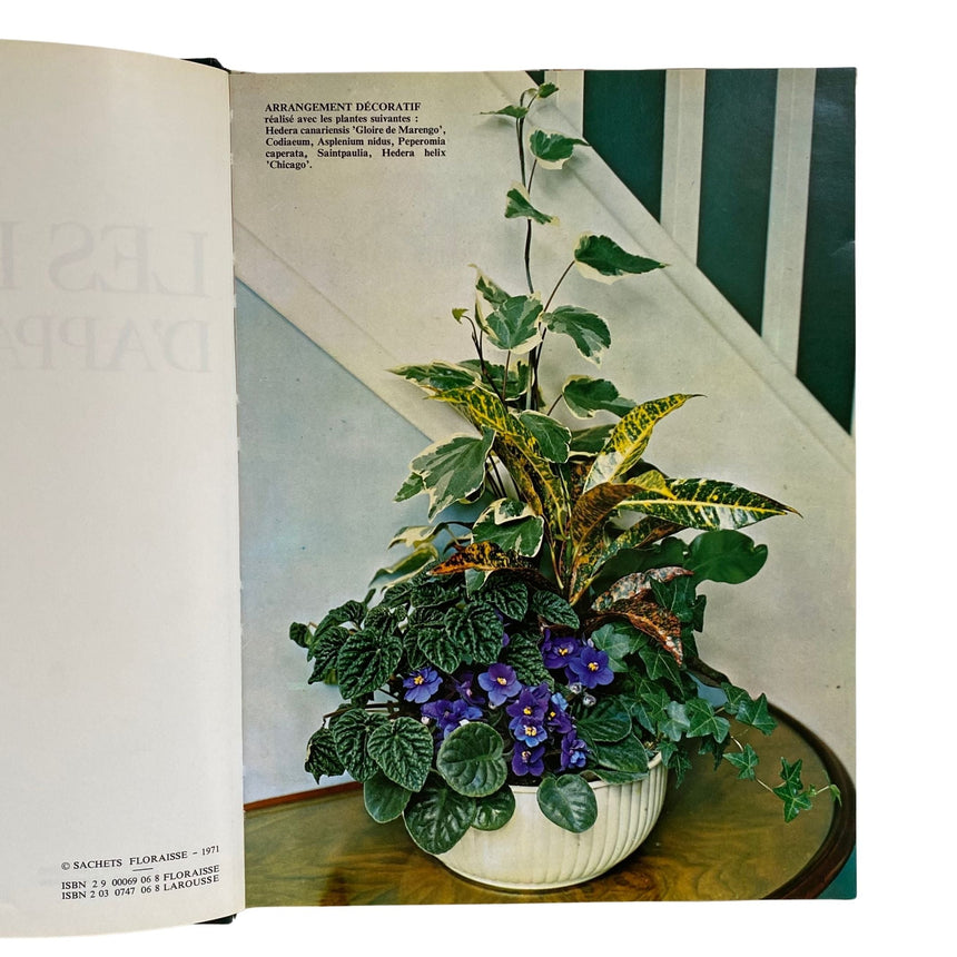 Pestil Books for Vitruta - Les Plantes D'Appartement - Vitruta