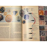Pestil Books for Vitruta - Modern Magazine Design - vitruta