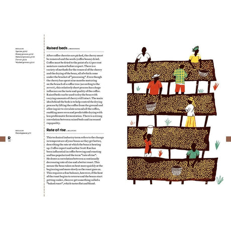 Vitruta Book Selection The Coffee Dictionary 